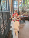 Mr. អារីយ៉ា