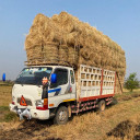 លក់ចំបើង ដុំ