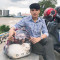 សត្វចញ្ចឹម ជាទីស្រលាញ់