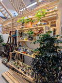 YZ Store