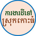 ការងារ ដីនៅស្រុកកោះធំ