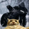 Borath Virakyuth