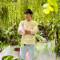 Songkhim