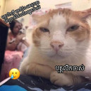 សីហា សីហា