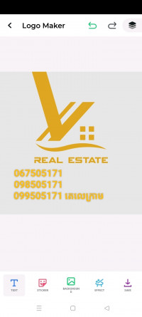 The V Real Estate