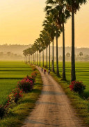 ចំ រើន