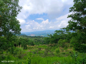 Nan Hao