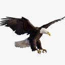 លាភ ហេង