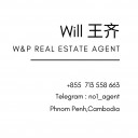 Wang Will