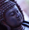 ចាន់នី