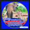សម តុលា