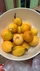 ហ៊ា លាង