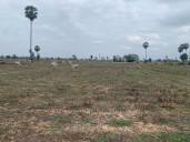 khmer strongly