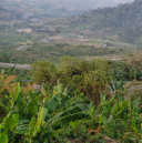 សូរ តឹម