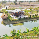 វិស័យ អចលនទ្រព្យ