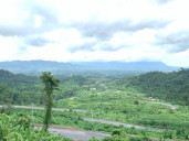 Vuth Serey