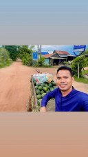 ទិត្យ