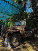 Singha Angkor