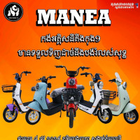MaNea Smn