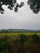 Sem Raksa