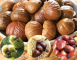Y Y Chestnuts