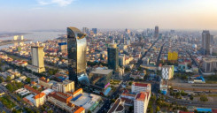 Consultancy Agent