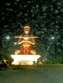 ណុប រតនា