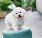 Ah Mouykim