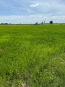 វិរះ រាជ