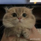 Nita Online
