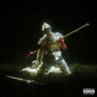 គុជត្រា BYD-គុជត្រា-ORKIDE