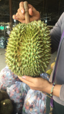 សៀប ស្រីរត្ន