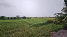 Teng Rem