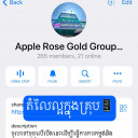 Apple Rose Gold