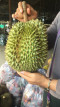 សៀប ស្រីរត្ន