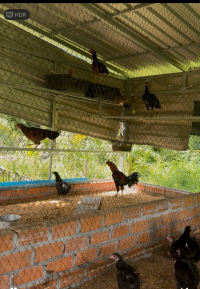 ភត្រ្តា កសិកម្ម