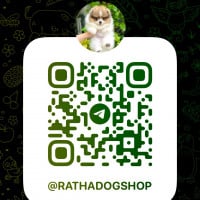 Ratha Dogs Shop