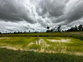 កែវ រដ្ឋា