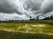 កែវ រដ្ឋា