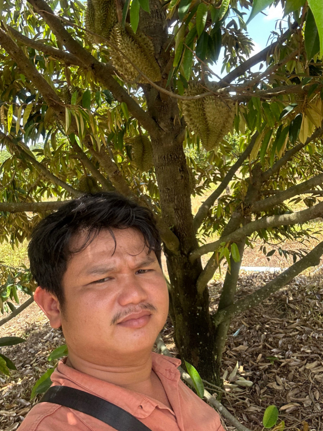 ចេង ហេង