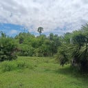 ដីលក់ ជាយក្រុង