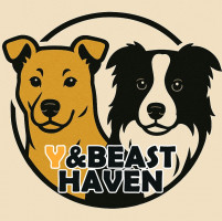 Y&BEAST HAVEN