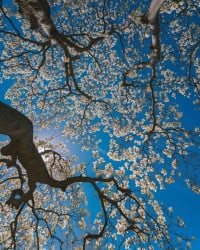 AS&amp;amp;amp;amp;amp;amp;amp;amp;amp;amp;amp;amp;amp;amp;amp;amp;amp;amp;amp;amp;amp;amp;amp;a