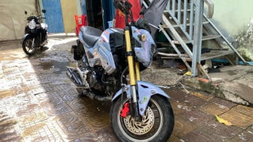 វិច្ចិកា វិ