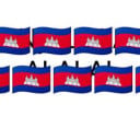 ដារីកា ផល្លី ផល្លី