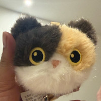 ប្រុស សង្ហា