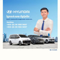 ប៊ុននិត ផ្នែកលក់រថយនក្រុមហ៊ុន Hyundai