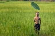 ស្រុក ស្រែ