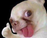 Gary