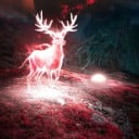 សំណាង រហូត